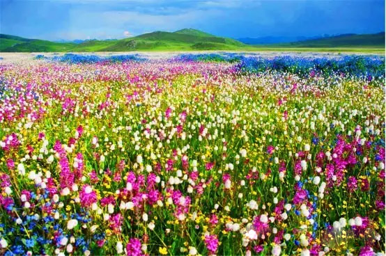 6.jpg 14615898709479078.jpg