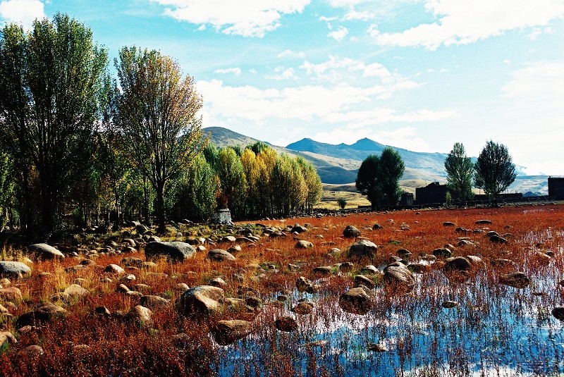 ����1.jpg ����1.jpg